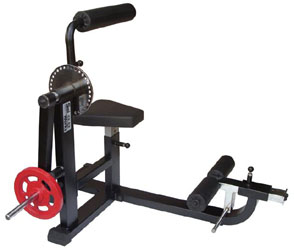 Plate Loaded Abs Machine