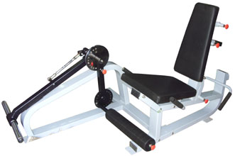 Leg Extension & Leg Curling Plate Loaded