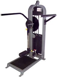 Multi Hip Machine